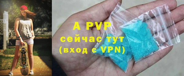 стаф Дмитриев