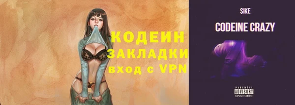 стаф Дмитриев