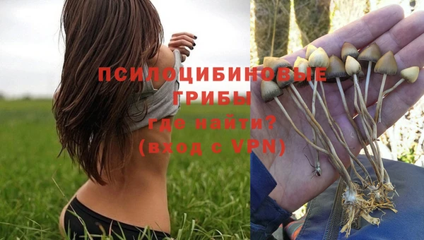 синтетический гашиш Дмитров